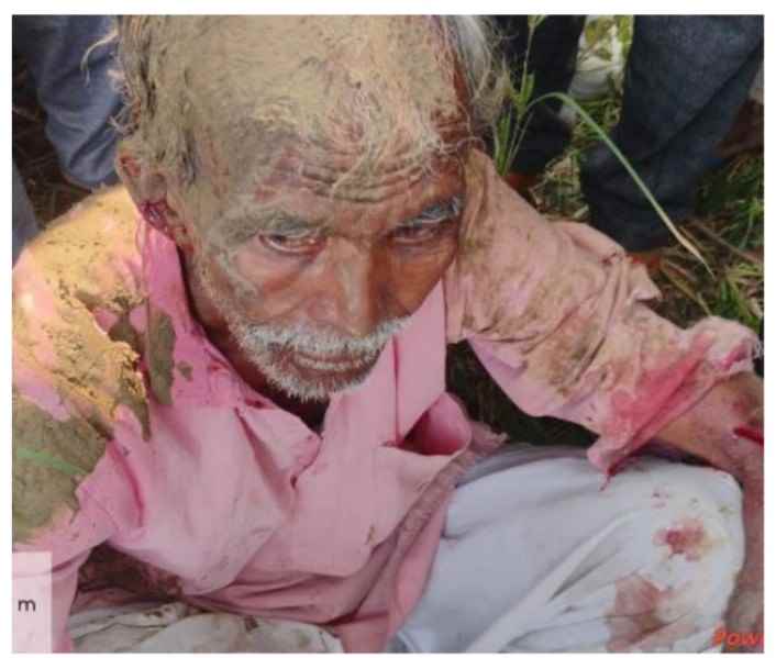 शेतात गवत कापताना वाघाचा हल्ला महिलांच्या धाडसामुळे वाघाला पिटाळले