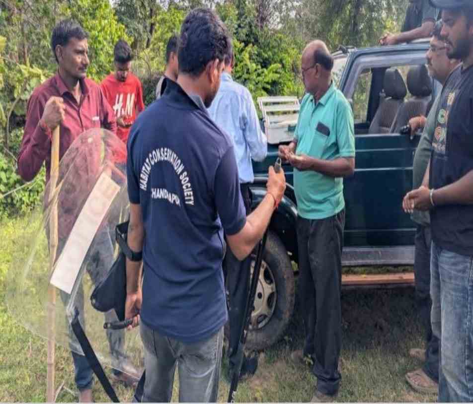 अस्वलीच्या हल्ल्यात पिता-पुत्र गंभीर जखमी