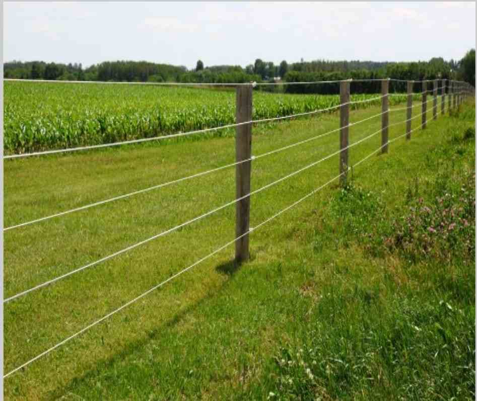 शेतातील कुंपणाला वीजपुरवठा ठरला जीवघेणा,१६ वर्षीय युवकाचा करंट लागून मृत्यू,शेतमालकावर गुन्हा