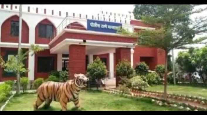 बल्लारपूरमध्ये तलवारीसह तरुण ताब्यात दहशत निर्माण करण्याचा प्रयत्न