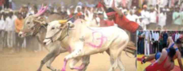 अल्लीपूर शंकर पटात रंगणार महिला-पुरुष गटात कुस्तीचे सामने