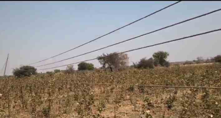लटकती बिजली लाइनों से बड़े हादसे की आशंका