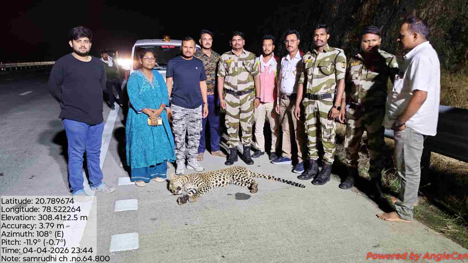 अज्ञात वाहनाच्या धडकेत बिबट्याचा मृत्यू; वन विभागात खळबळ