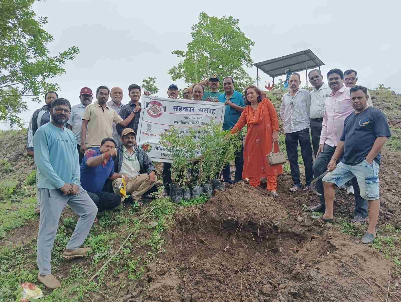 सहकार सप्ताहानिमित्त वृक्षारोपण; वृक्ष सेवा समितीच्या मोहिमेत शासकीय अधिकारी व सहकारी संस्थांचा पर्यावरण संकल्प